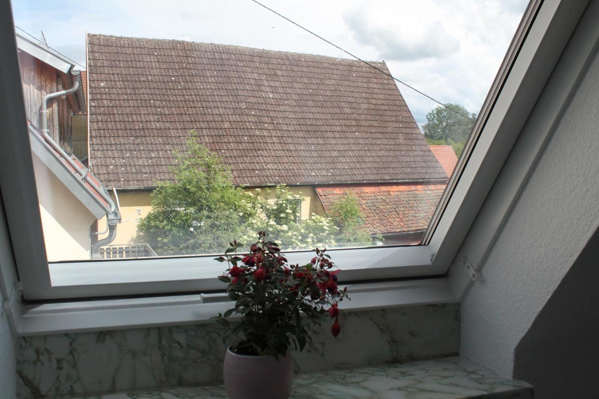 Metzgerei Und Pension Wolz Langenburg Buitenkant foto
